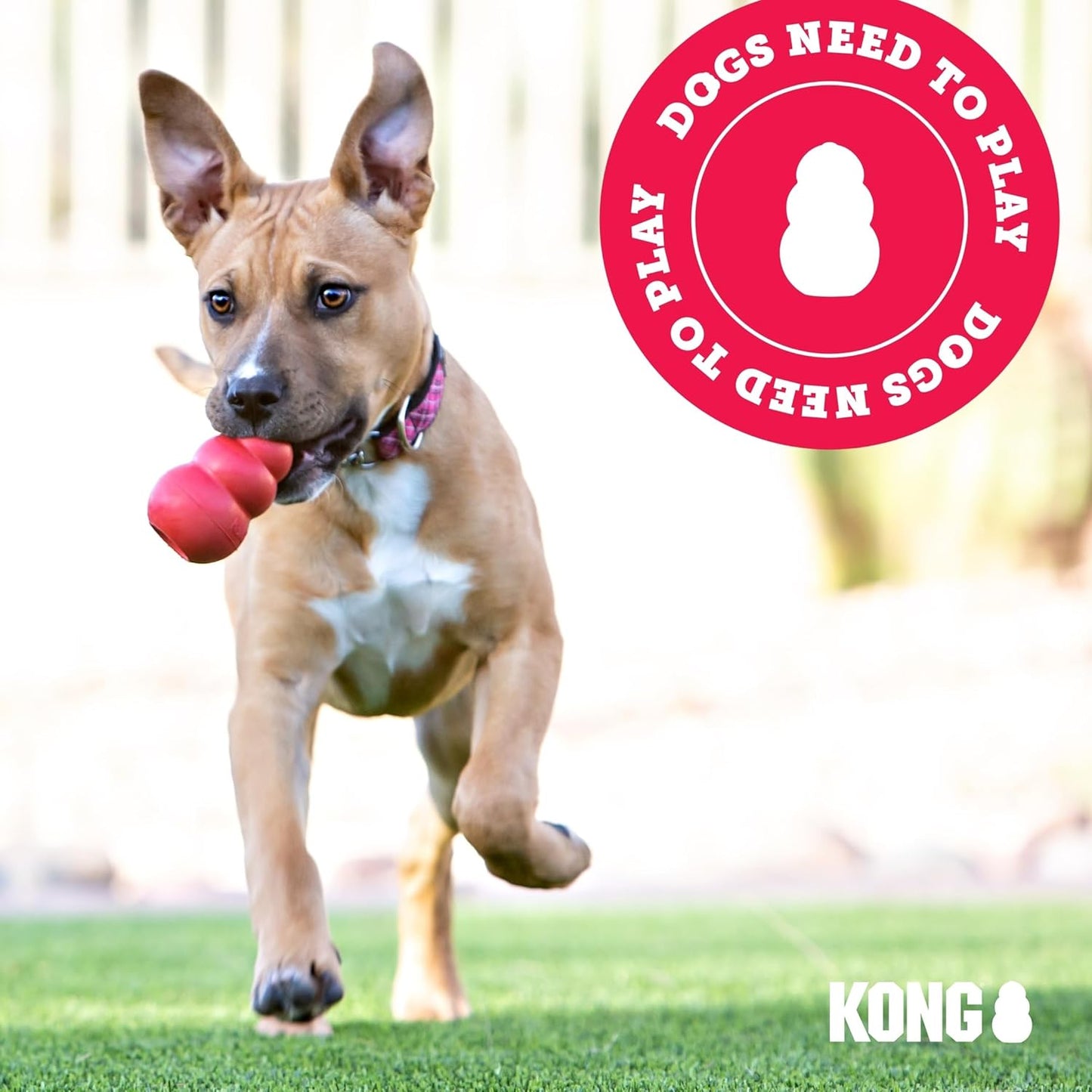- Rewards Ball - Ultra Durable Interactive Treat Dispensing Dog Toy - for Large Dogs