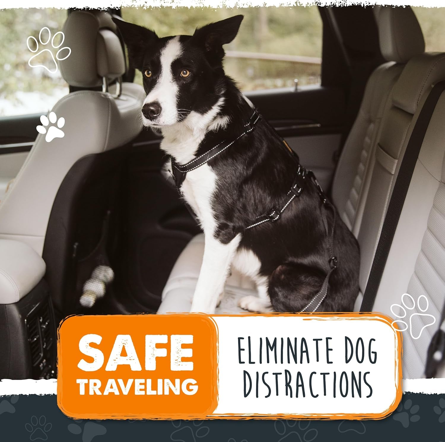 Dog Seat Belt | Pet Safety Belt, Created with Human Seatbelt Material. All-Metal Hardware with Adjustable Length Strap. Exceeds Dog Safety Standards. Keep Your Dog Secure in the Car