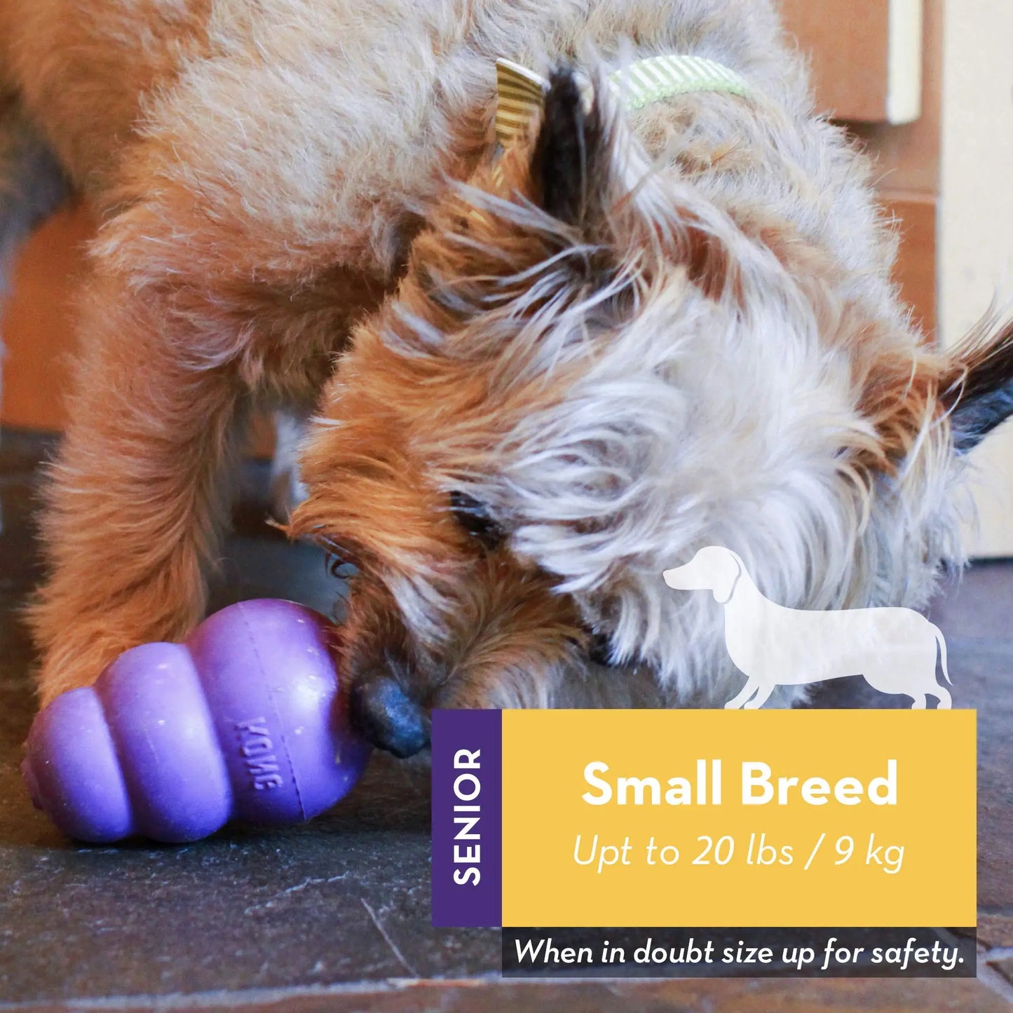 KONG Dog Enrichment Toy – Choose Your Chew Strength | For Puppies, Adults & Seniors
