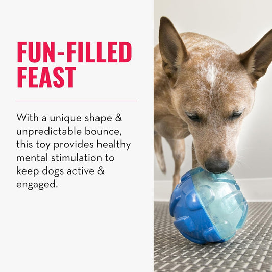 - Rewards Ball - Ultra Durable Interactive Treat Dispensing Dog Toy - for Large Dogs